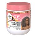 Salon Line Mel e Óleo de Argan Ativador 500g